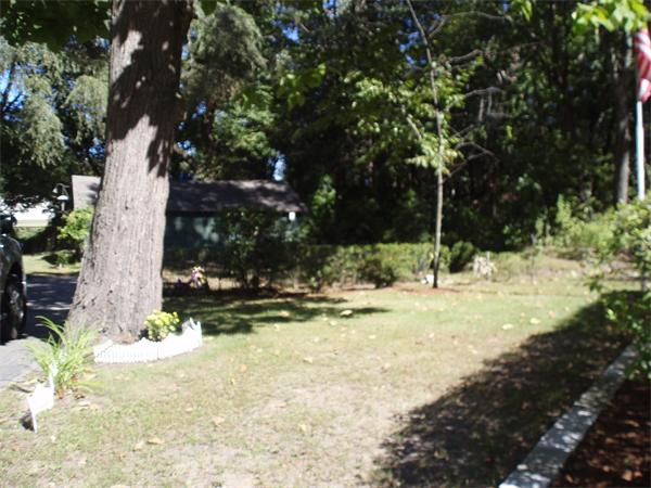 40 Meadowbrook Road Chelmsford, MA 01863 - Photo 3 of 15 a view of a yard with plants and large trees