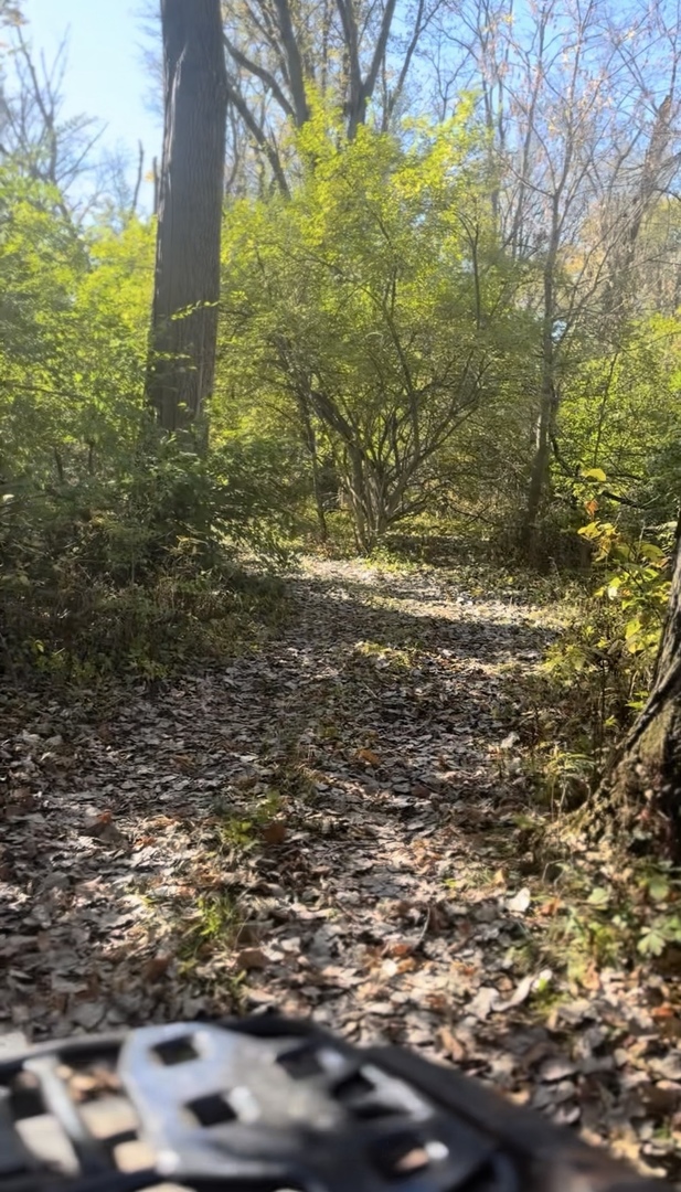 7035 East Scully Road Gardner, IL 60424 - Photo 23 of 25 a view of lake view