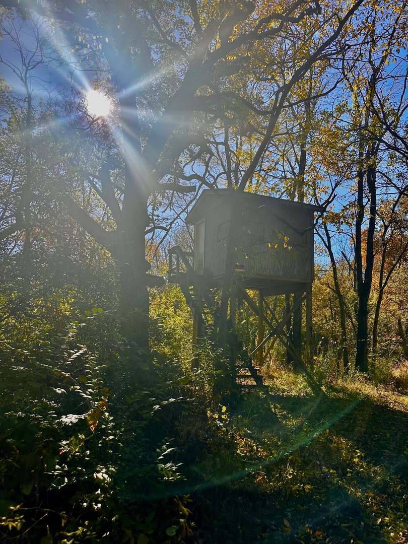 7035 East Scully Road Gardner, IL 60424 - Photo 25 of 25 a view of a back yard of the house