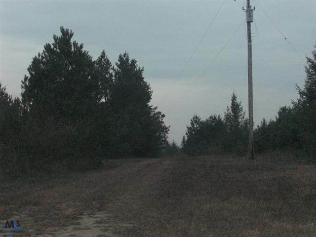 5355 East Sanilac Road Carsonville, MI 48419 - Photo 18 of 18 31127504-17.JPG