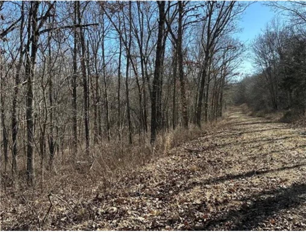 3155-3156 3101 Rolfs Place Edwards, MO 65326 - Photo 2 of 8