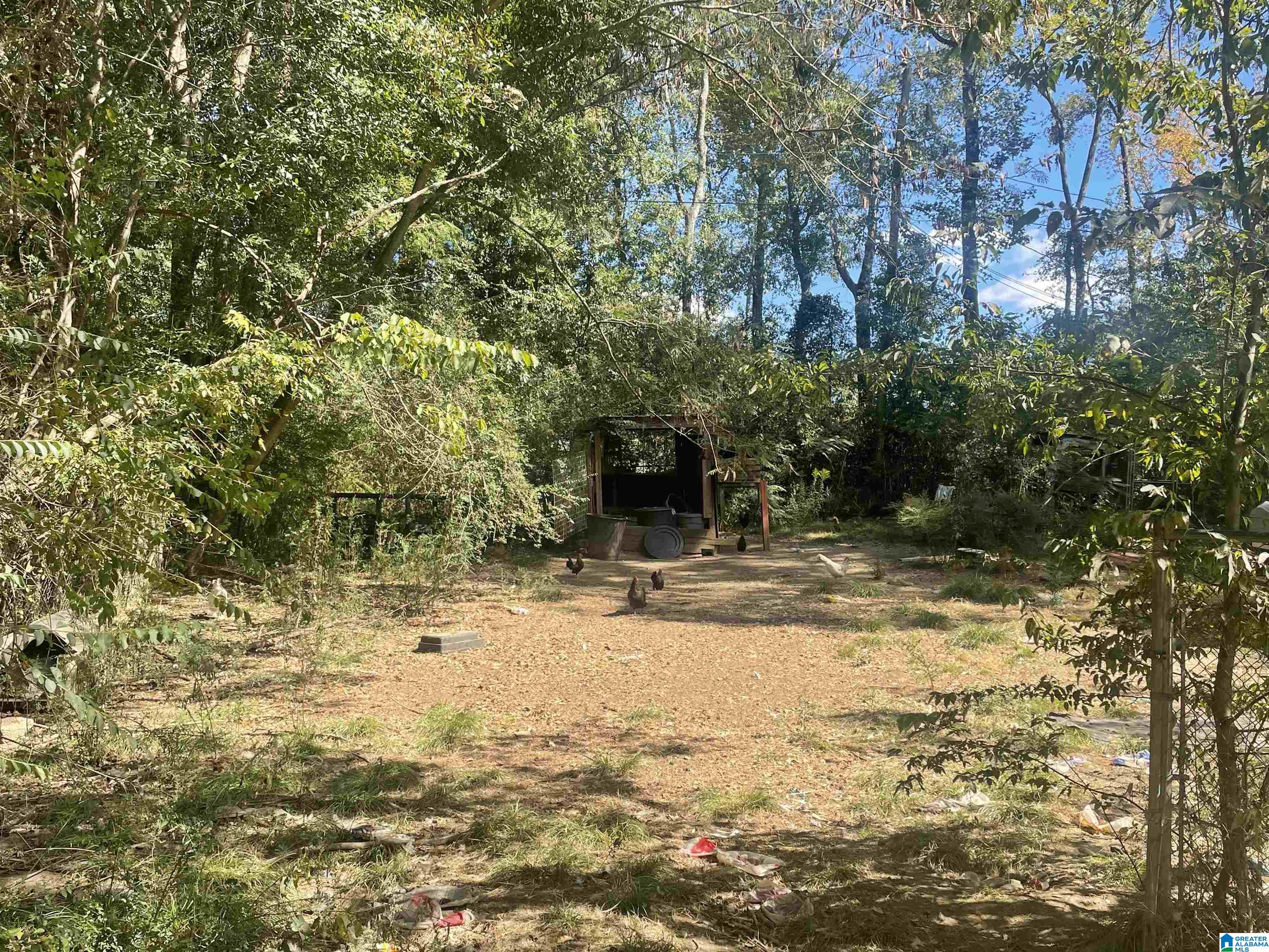 125 Highway 219 Montevallo, AL 35115 - Photo 2 of 2