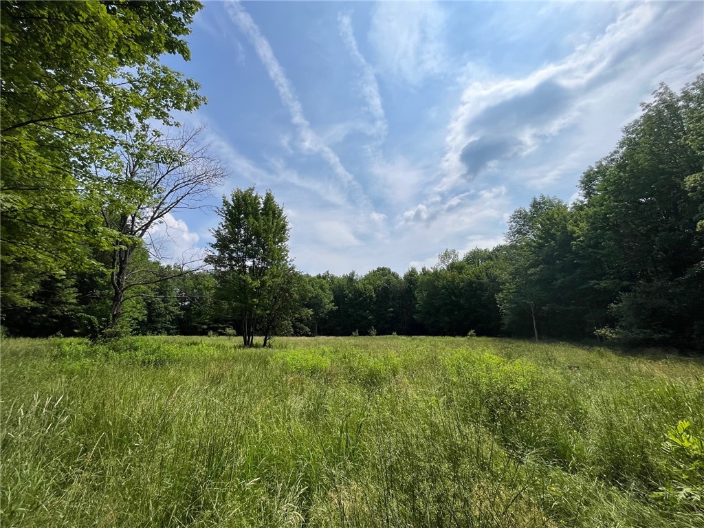 7196 Cloverleaf Road New Hudson, NY 14711 - Photo 37 of 50 Gallery Image 37