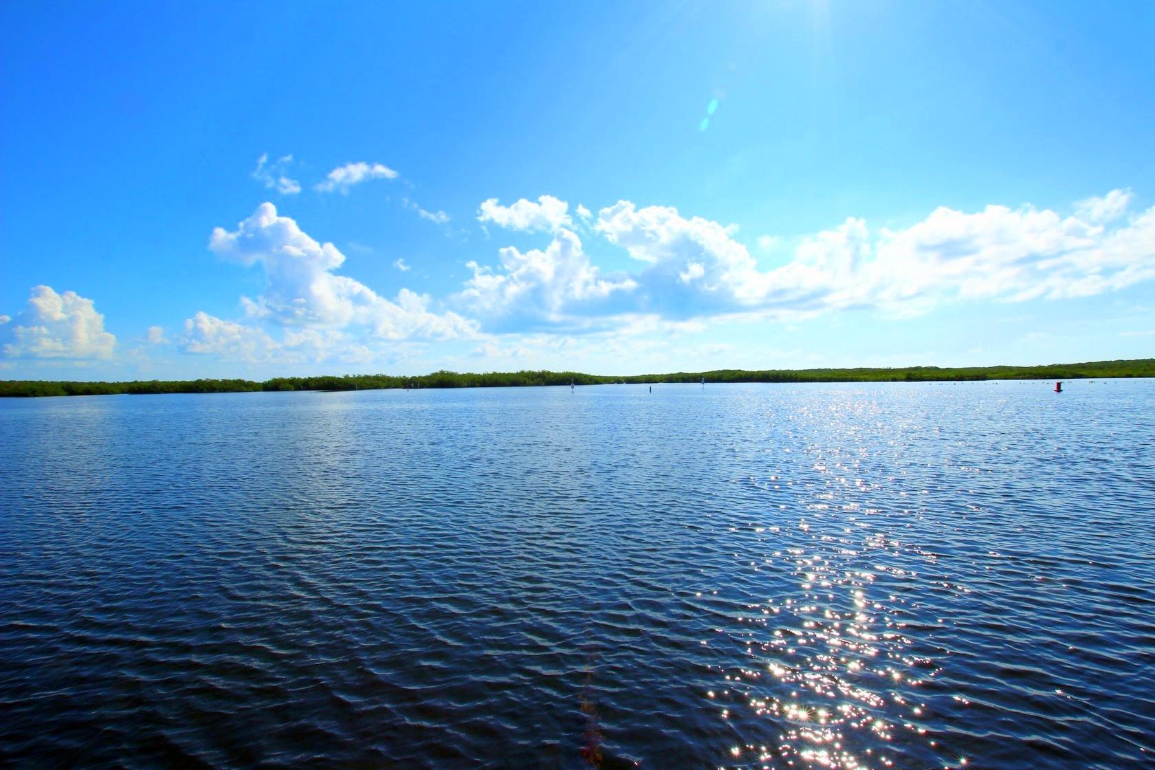 100 La Paloma Road Key Largo, FL 33037 - Photo 37 of 66 Open Water Views
