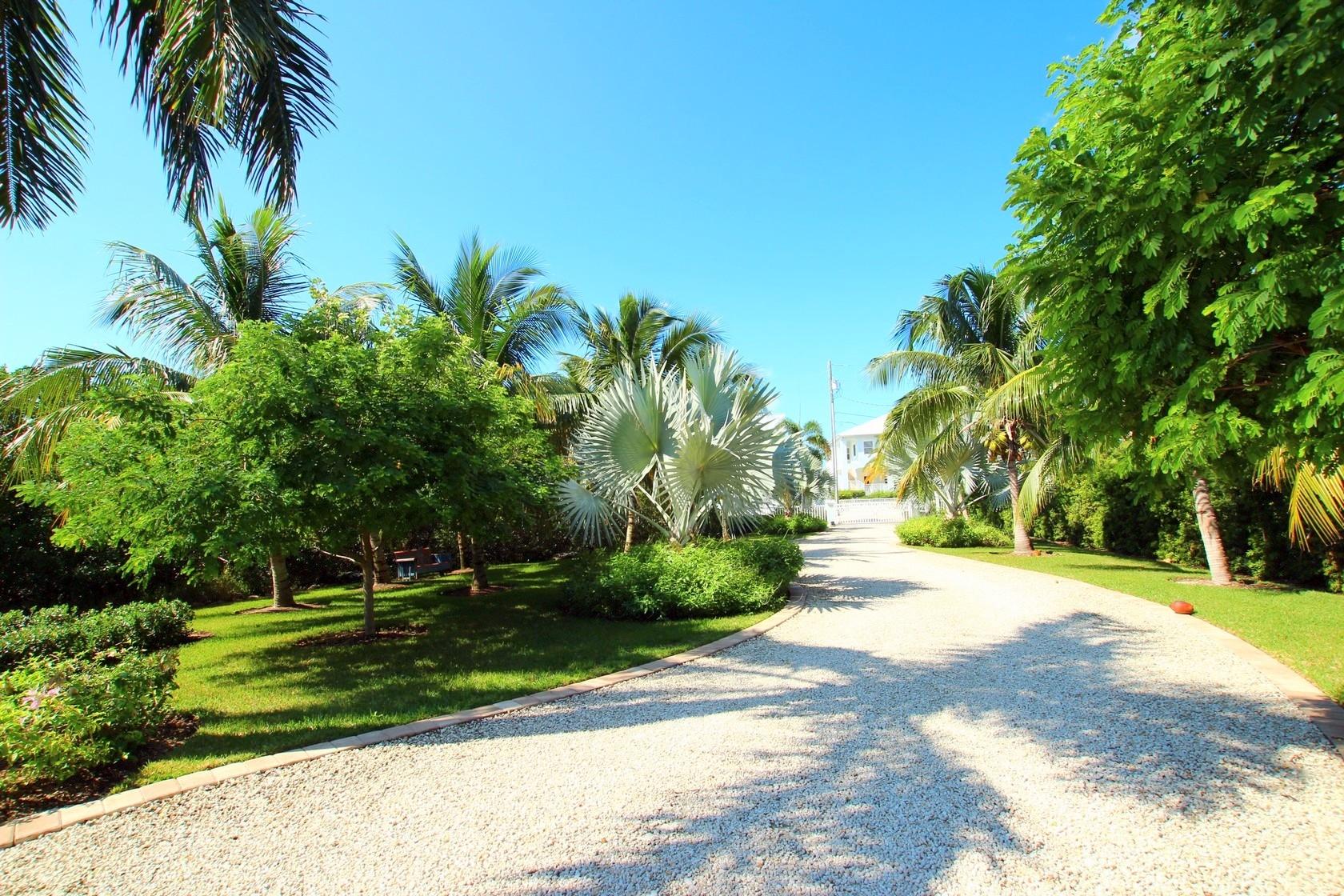 100 La Paloma Road Key Largo, FL 33037 - Photo 54 of 66 Front Yard