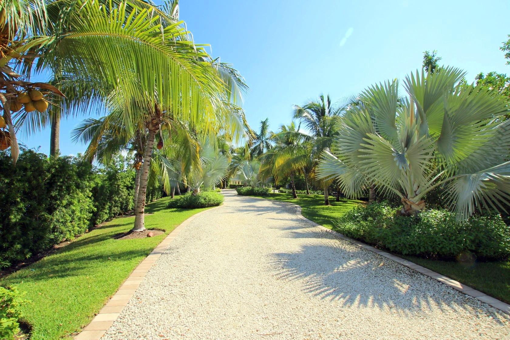 100 La Paloma Road Key Largo, FL 33037 - Photo 55 of 66 Driveway