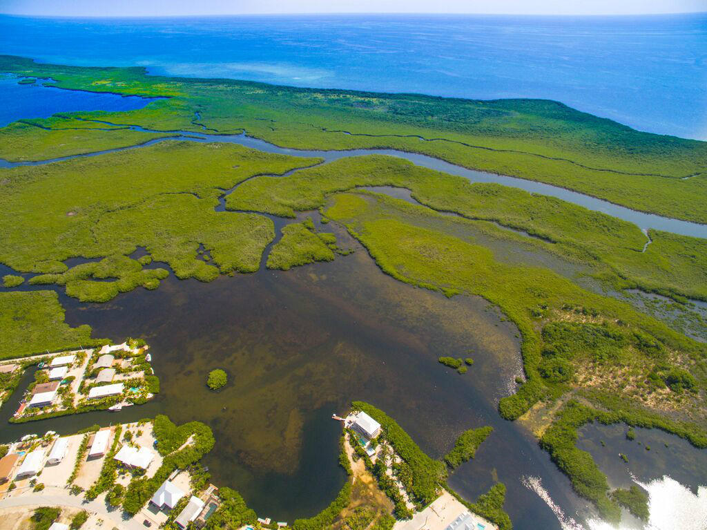 100 La Paloma Road Key Largo, FL 33037 - Photo 58 of 66 Kayak Trails Aerial