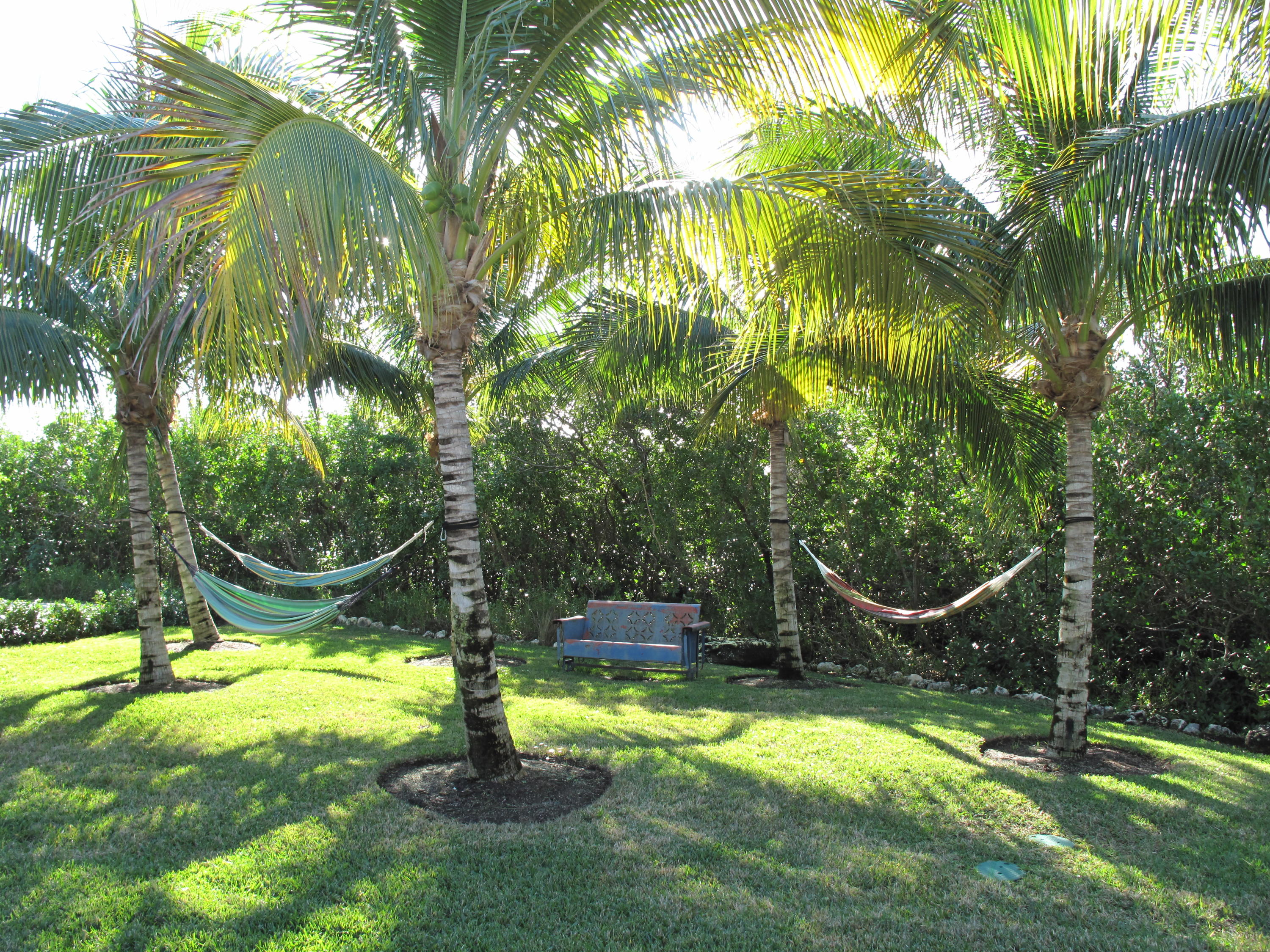 100 La Paloma Road Key Largo, FL 33037 - Photo 61 of 66 Front Yard