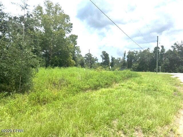 12239 Burke Road Fountain, FL 32438 - Photo 6 of 6