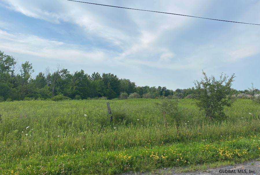 0 Ostrander Road Delanson, NY 12053 - Photo 1 of 13 Photo 1