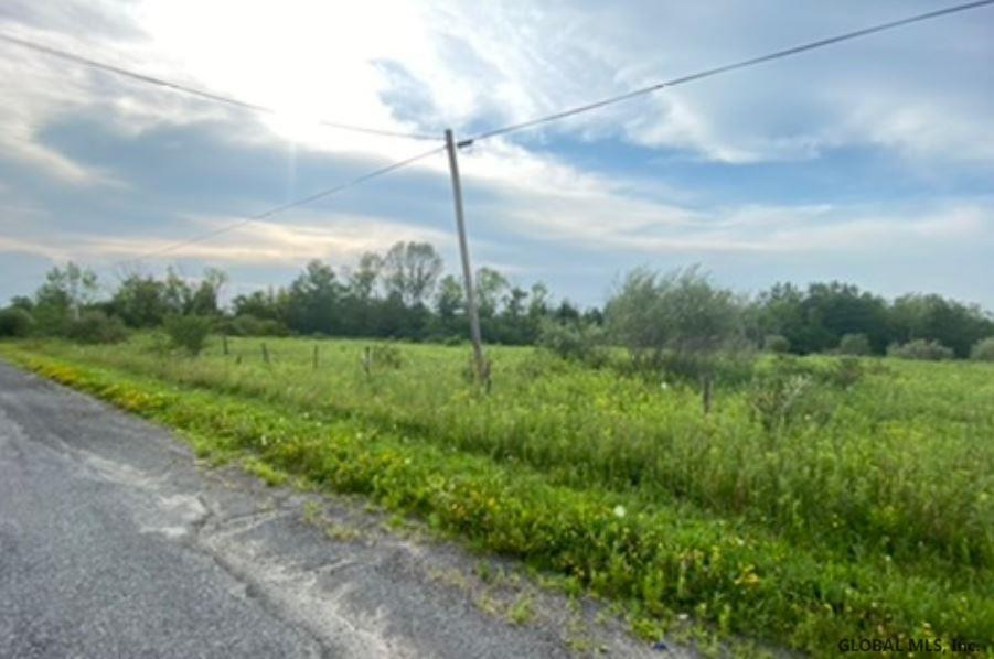0 Ostrander Road Delanson, NY 12053 - Photo 2 of 13 Photo 2