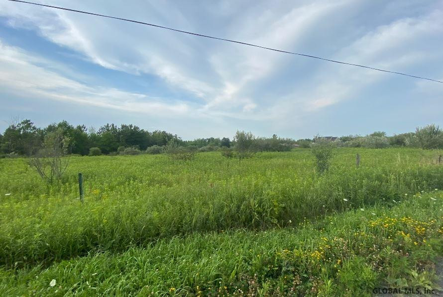 0 Ostrander Road Delanson, NY 12053 - Photo 3 of 13 Photo 3