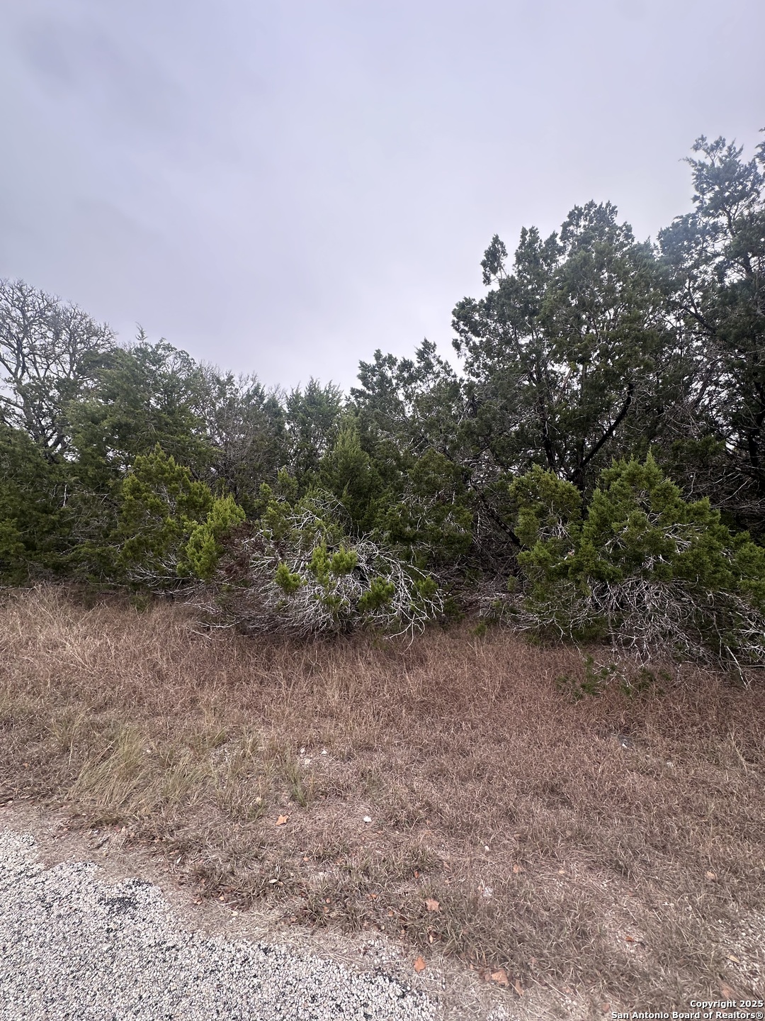 1350 Echo Meadow Lane Spring Branch, TX 78070 - Photo 2 of 4