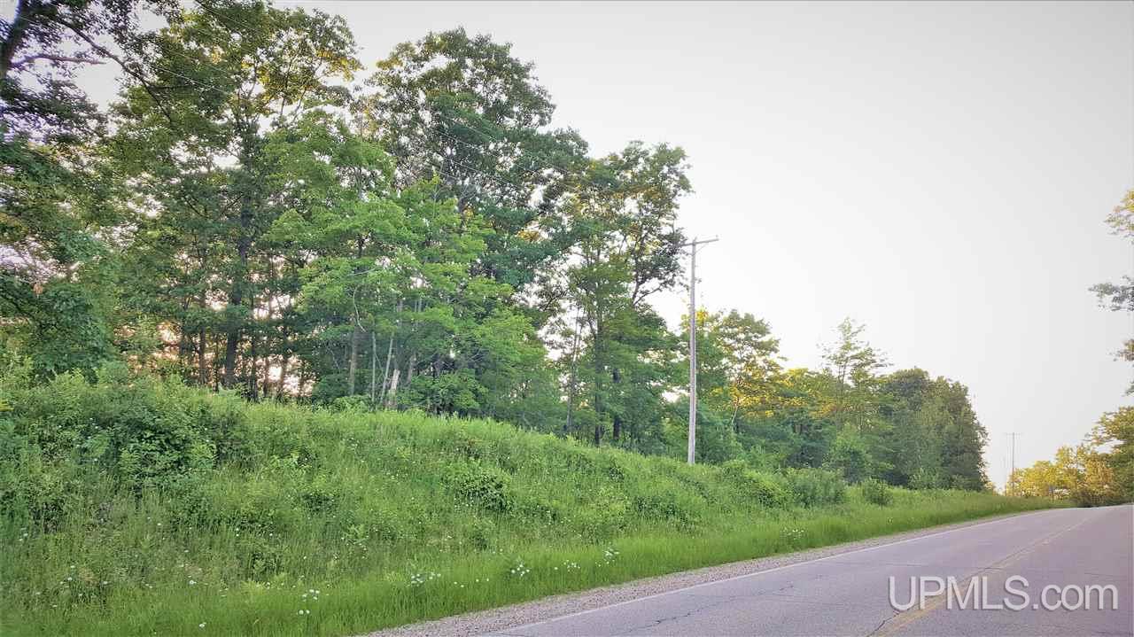 Tbd Hamilton Lake Road Vulcan, MI 49892 - Photo 4 of 7