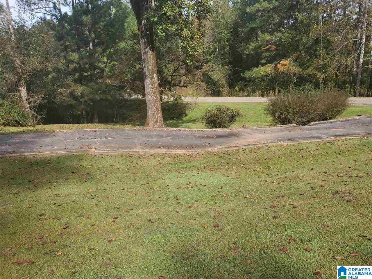 689 Highway 511 Goodwater Al Goodwater, AL 35072 - Photo 7 of 45