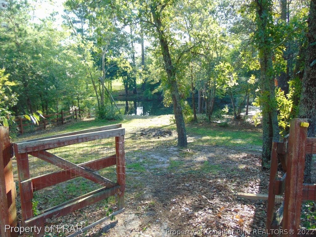 5313 Harding Drive Hope Mills, NC 28348 - Photo 20 of 26 a view of a backyard with large trees