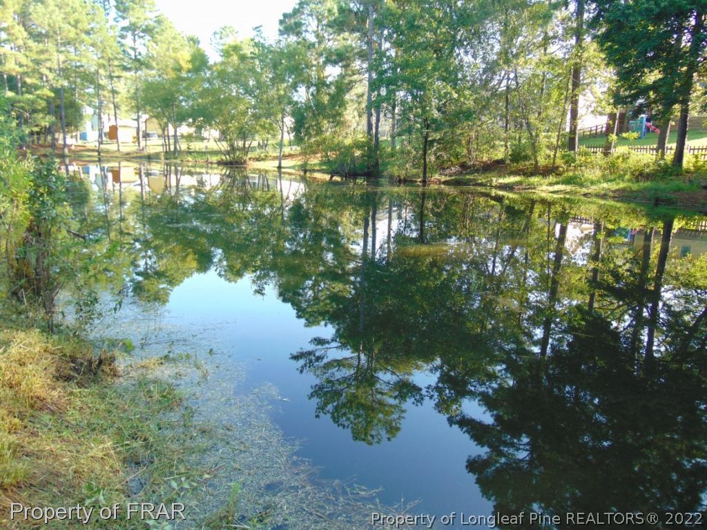 5313 Harding Drive Hope Mills, NC 28348 - Photo 23 of 26 a view of lake