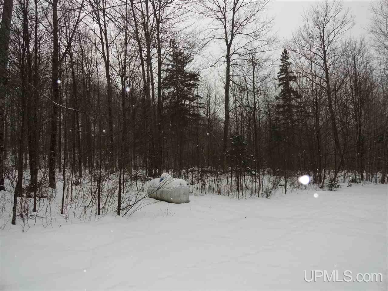 160-acres Off Co Rd 557 Arnold, MI 49819 - Photo 5 of 22