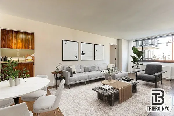 a living room with furniture rug and window