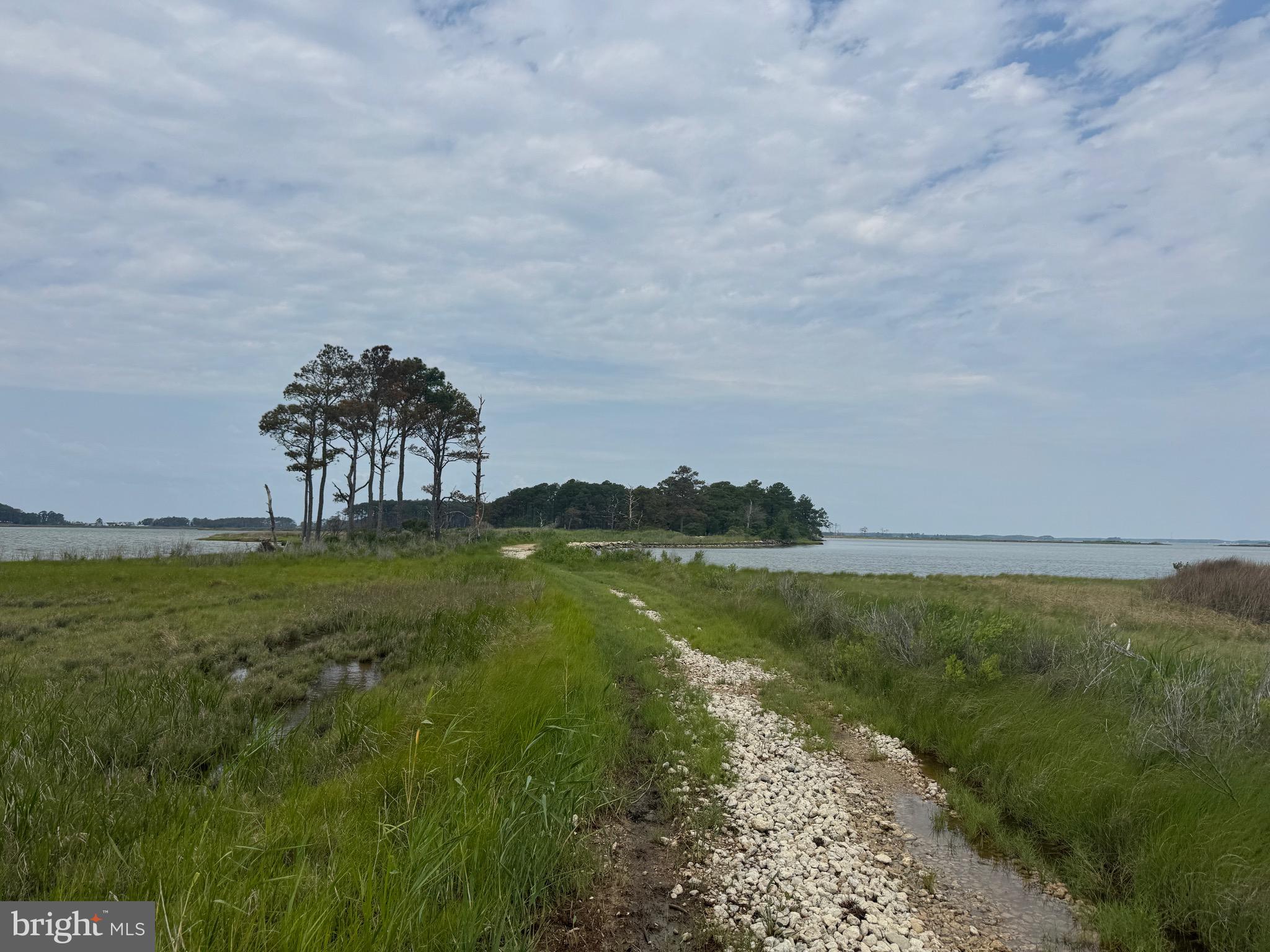 2765 Hoopers Island Road Fishing Creek, MD 21634 - Photo 104 of 111 a view of a lake with a big yard