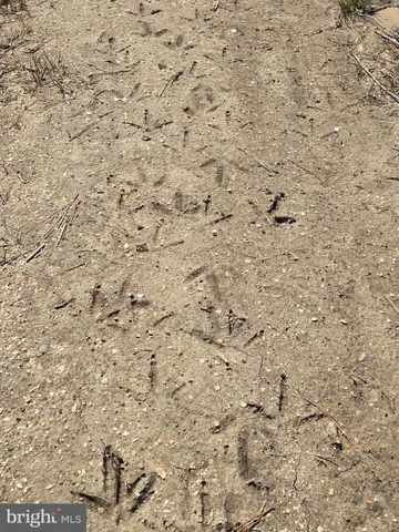 $975,000 | 2765 Hoopers Island Road, Fishing Creek, MD 21634