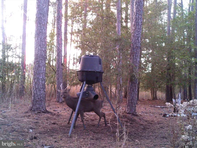 $975,000 | 2765 Hoopers Island Road, Fishing Creek, MD 21634