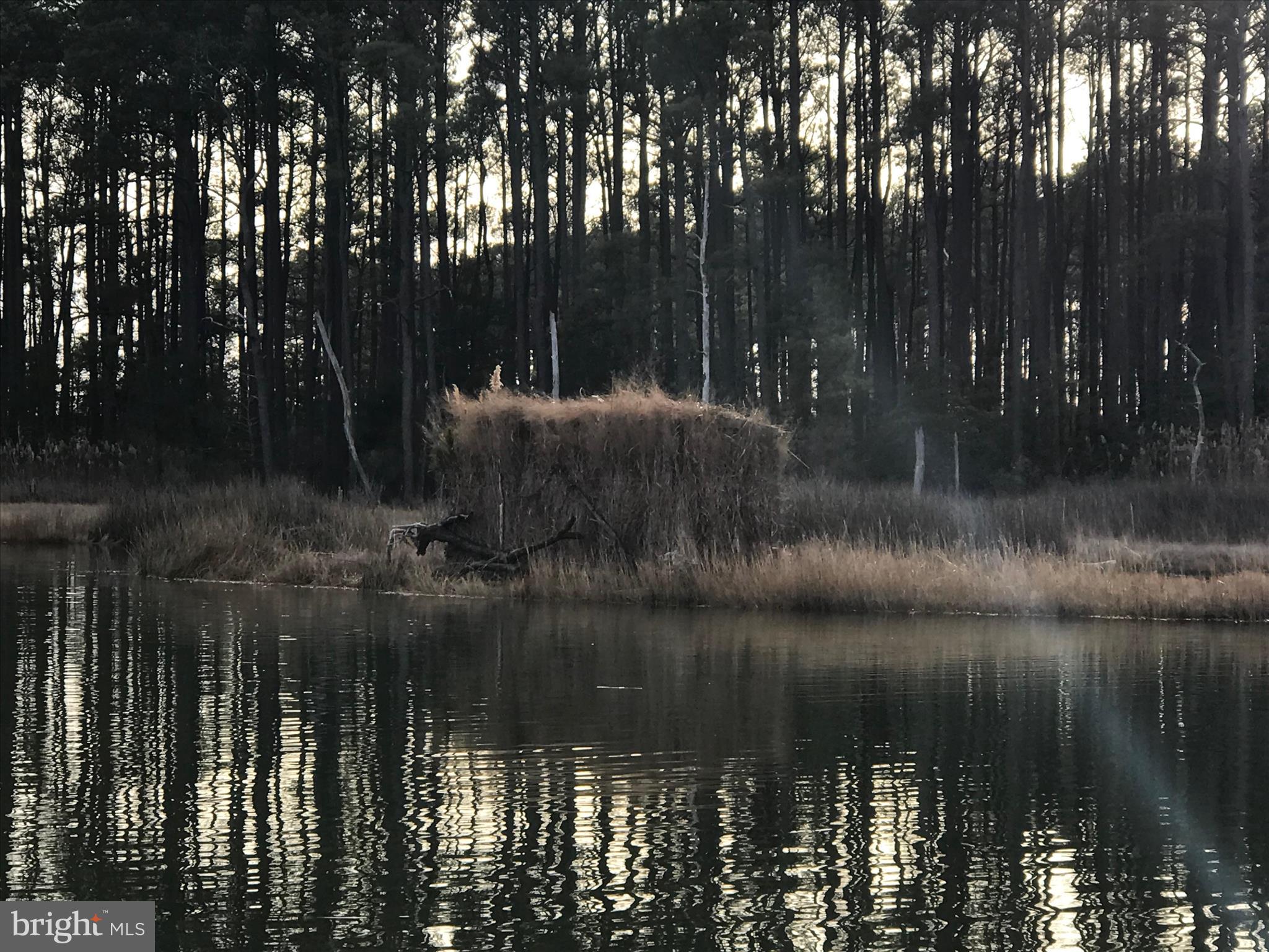 2765 Hoopers Island Road Fishing Creek, MD 21634 - Photo 77 of 111 Seller Provided Photos