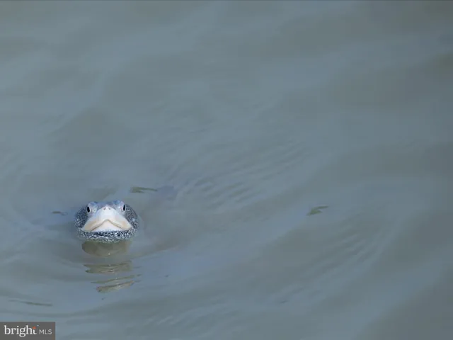 $975,000 | 2765 Hoopers Island Road, Fishing Creek, MD 21634