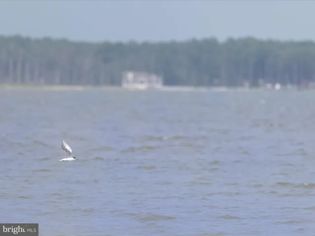 $975,000 | 2765 Hoopers Island Road, Fishing Creek, MD 21634