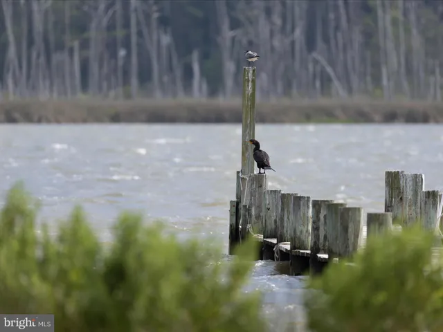 $975,000 | 2765 Hoopers Island Road, Fishing Creek, MD 21634