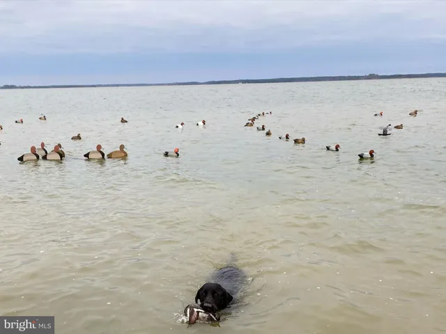 $975,000 | 2765 Hoopers Island Road, Fishing Creek, MD 21634