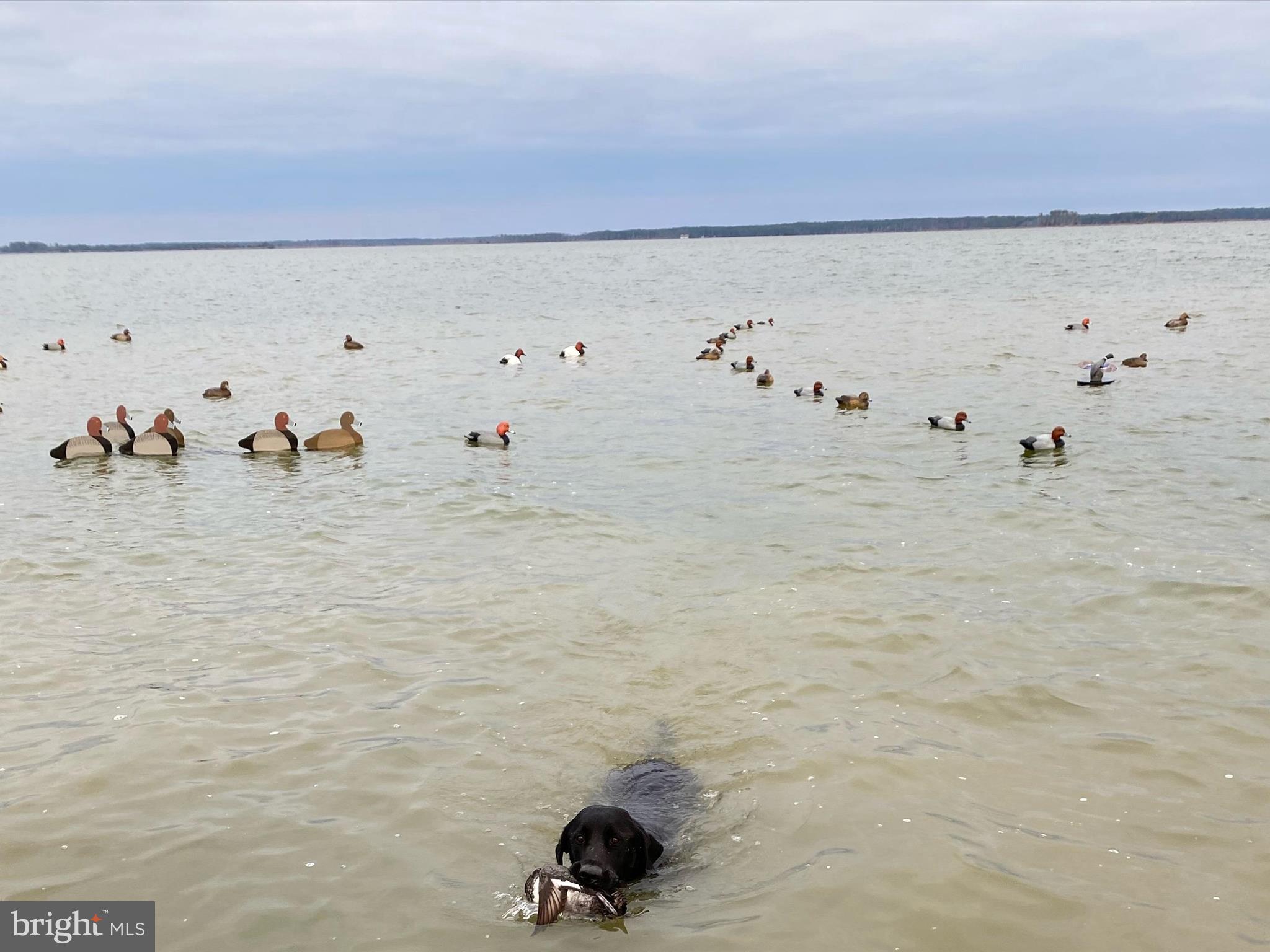 2765 Hoopers Island Road Fishing Creek, MD 21634 - Photo 85 of 111 a view of utility room