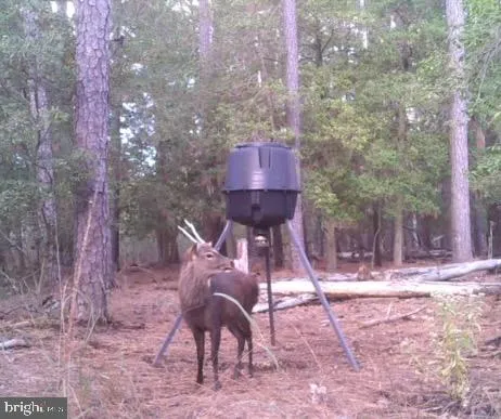 $975,000 | 2765 Hoopers Island Road, Fishing Creek, MD 21634