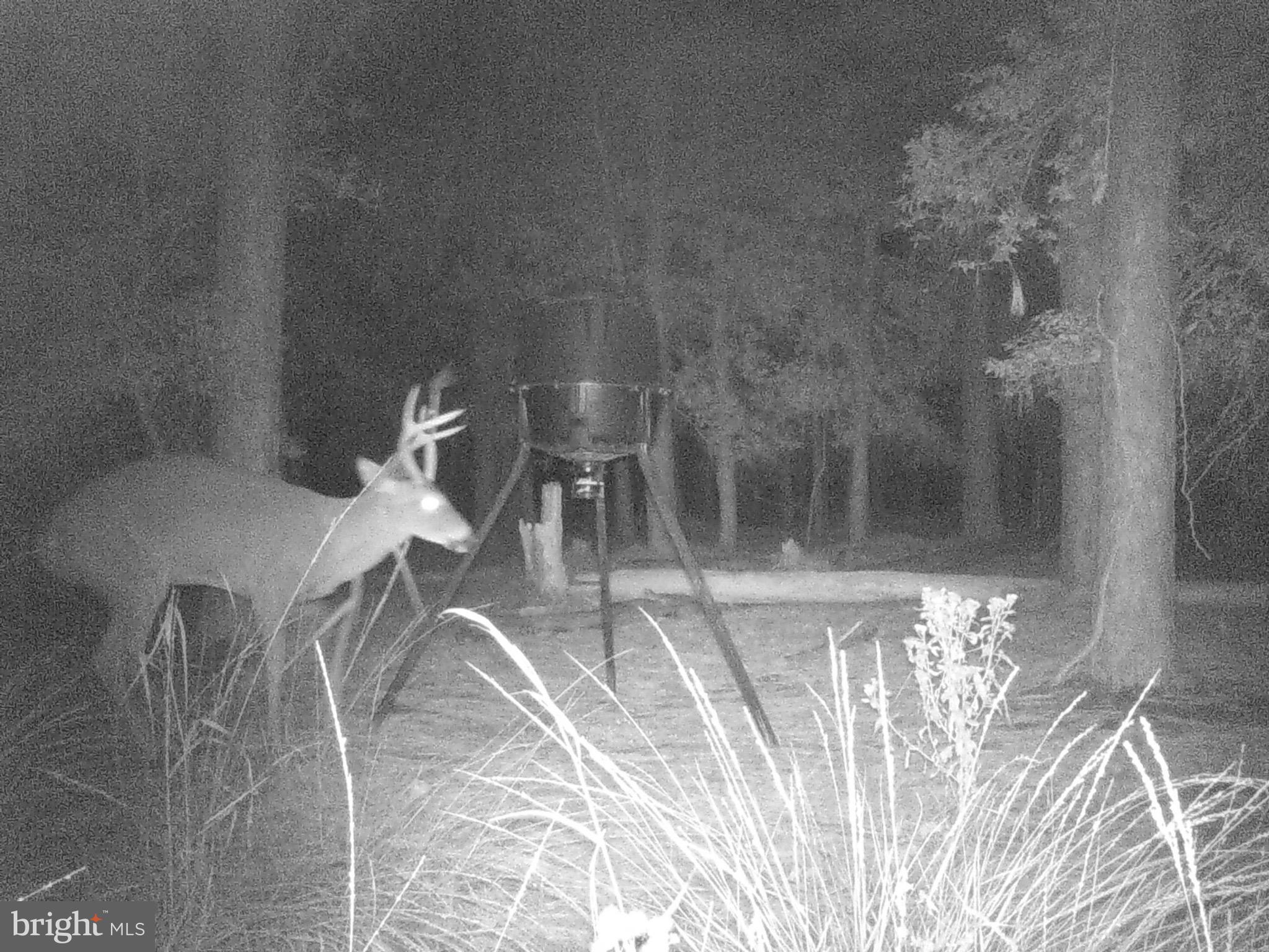 2765 Hoopers Island Road Fishing Creek, MD 21634 - Photo 88 of 111 Seller Provided Photos