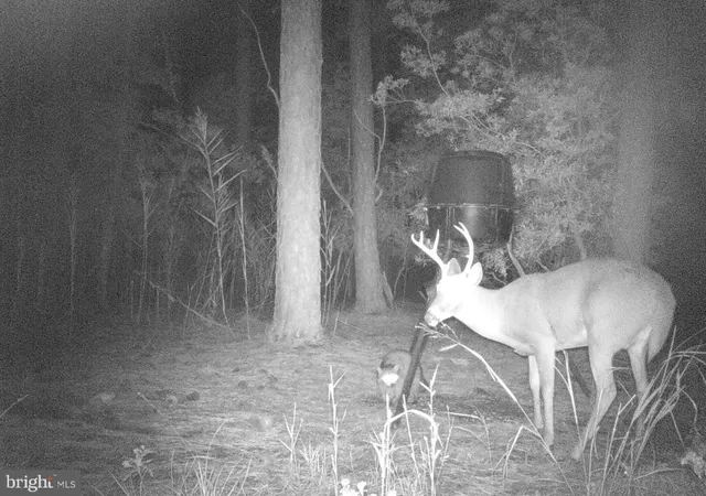 $975,000 | 2765 Hoopers Island Road, Fishing Creek, MD 21634