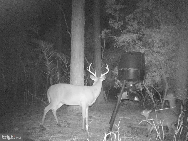 $975,000 | 2765 Hoopers Island Road, Fishing Creek, MD 21634