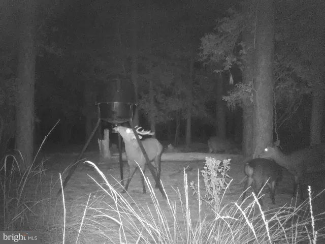 $975,000 | 2765 Hoopers Island Road, Fishing Creek, MD 21634