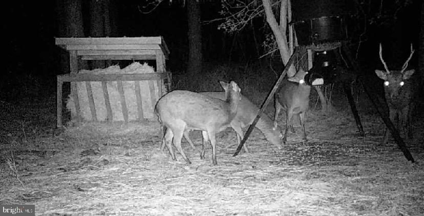 2765 Hoopers Island Road Fishing Creek, MD 21634 - Photo 92 of 111 Seller Provided Photos