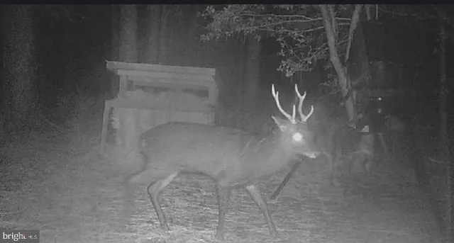 $975,000 | 2765 Hoopers Island Road, Fishing Creek, MD 21634