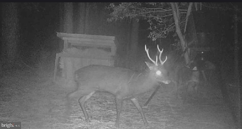 2765 Hoopers Island Road Fishing Creek, MD 21634 - Photo 93 of 111 Seller Provided Photos