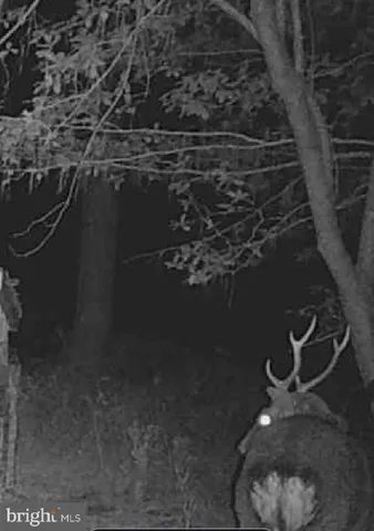 $975,000 | 2765 Hoopers Island Road, Fishing Creek, MD 21634