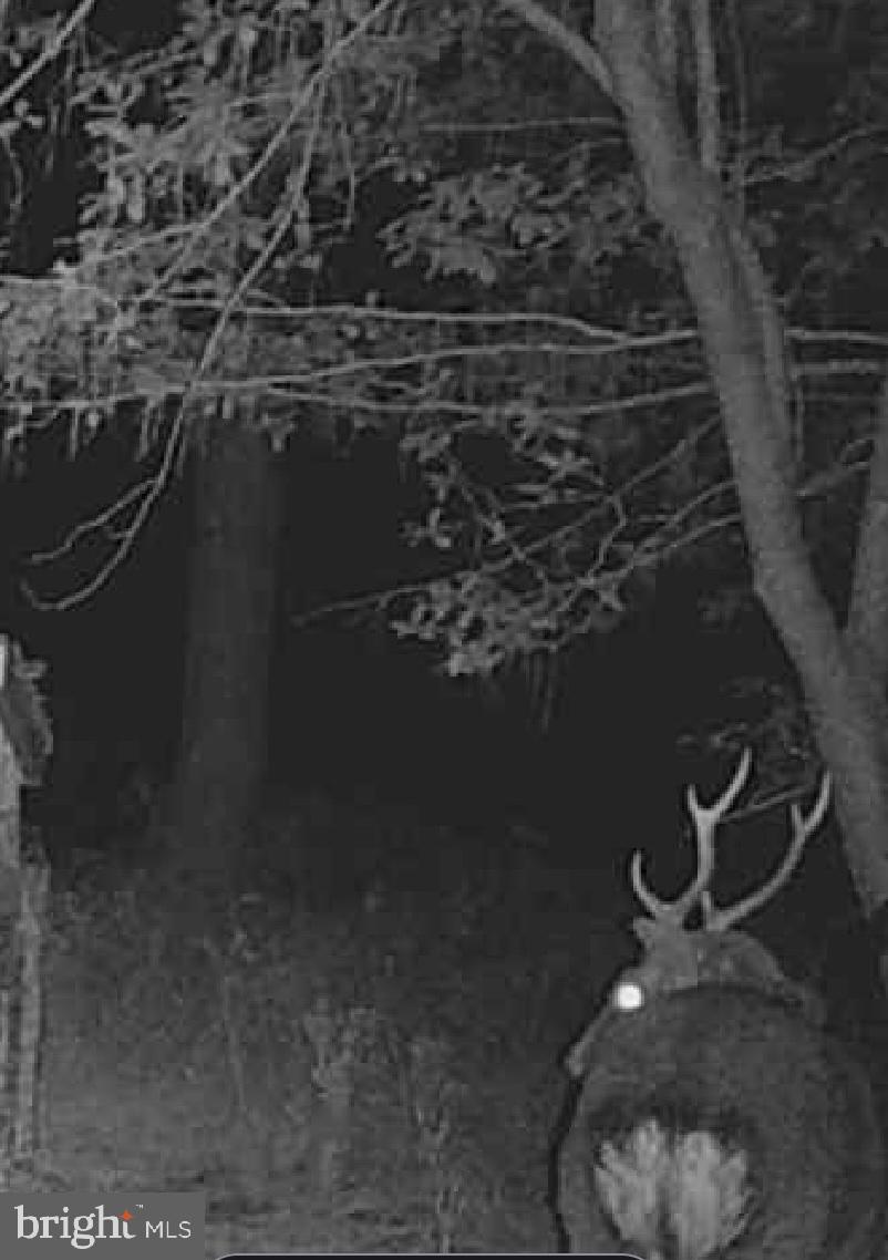 2765 Hoopers Island Road Fishing Creek, MD 21634 - Photo 94 of 111 Seller Provided Photos