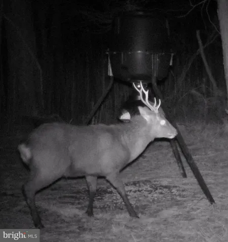 $975,000 | 2765 Hoopers Island Road, Fishing Creek, MD 21634