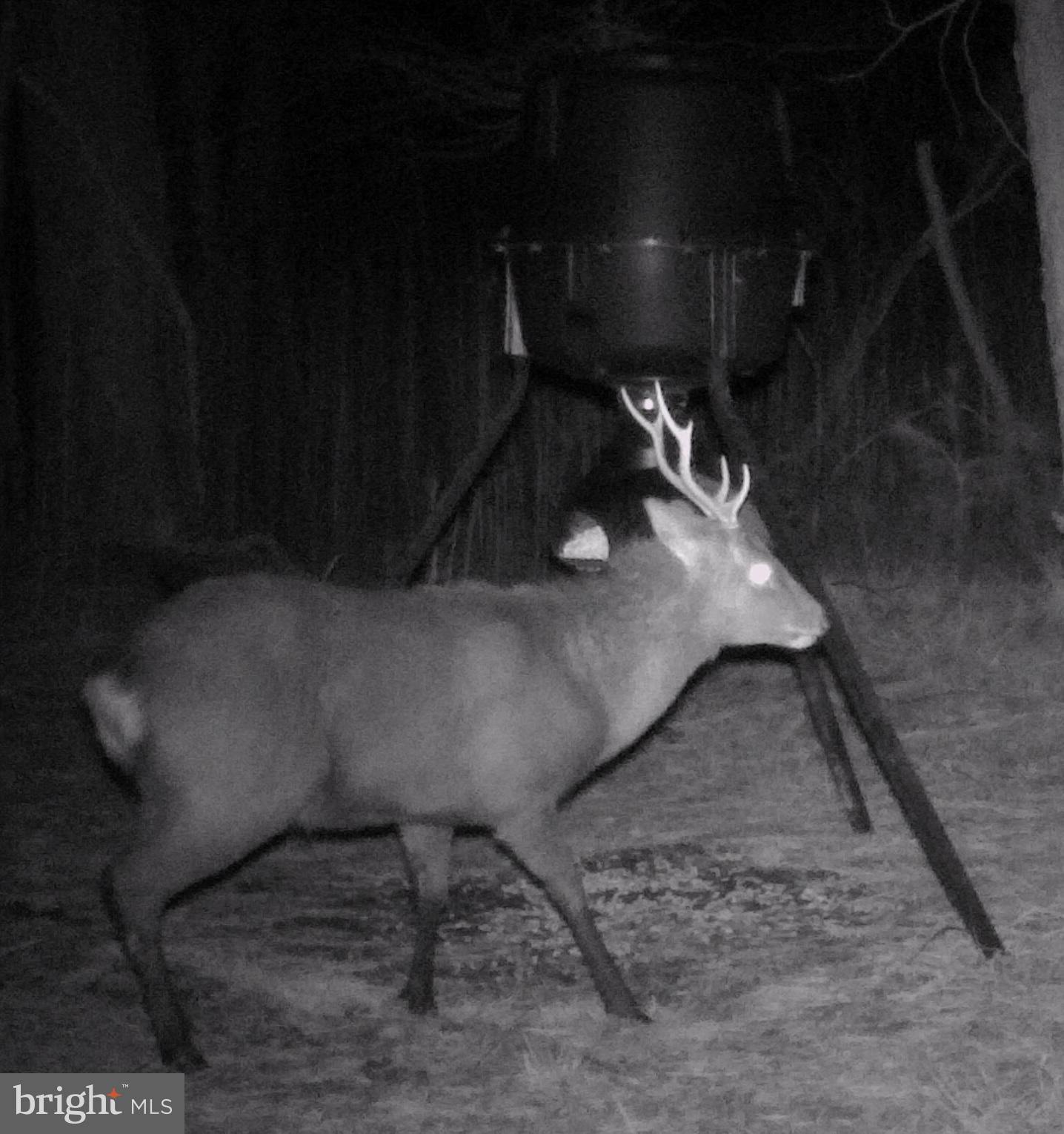 2765 Hoopers Island Road Fishing Creek, MD 21634 - Photo 95 of 111 Seller Provided Photos