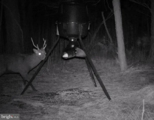 $975,000 | 2765 Hoopers Island Road, Fishing Creek, MD 21634