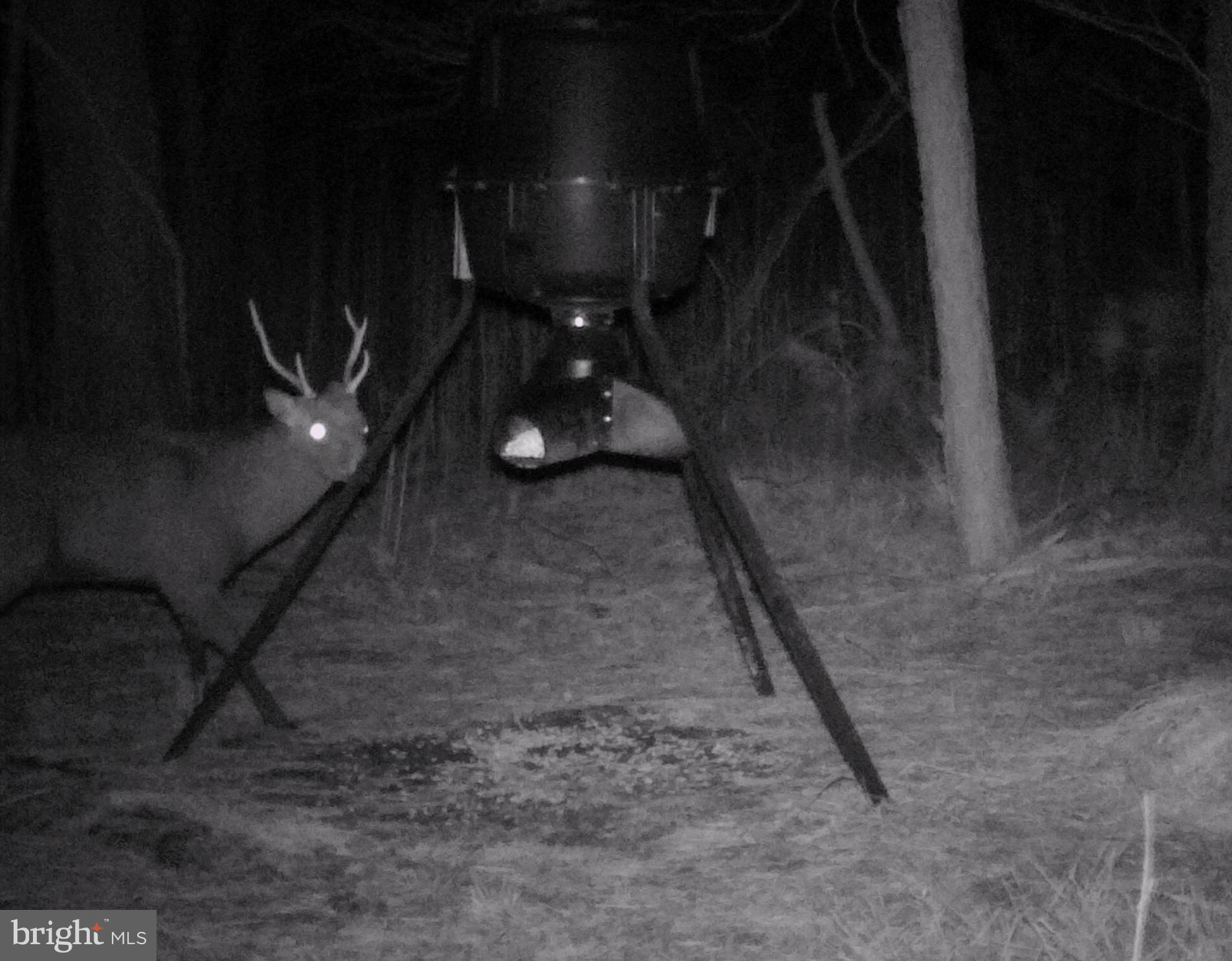 2765 Hoopers Island Road Fishing Creek, MD 21634 - Photo 96 of 111 a close view of water heater room