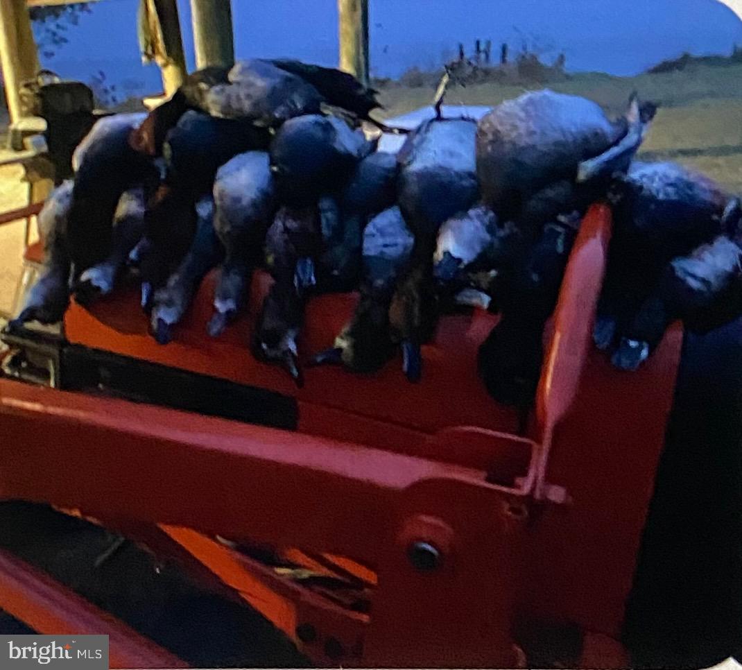 2765 Hoopers Island Road Fishing Creek, MD 21634 - Photo 97 of 111 Seller Provided Photos