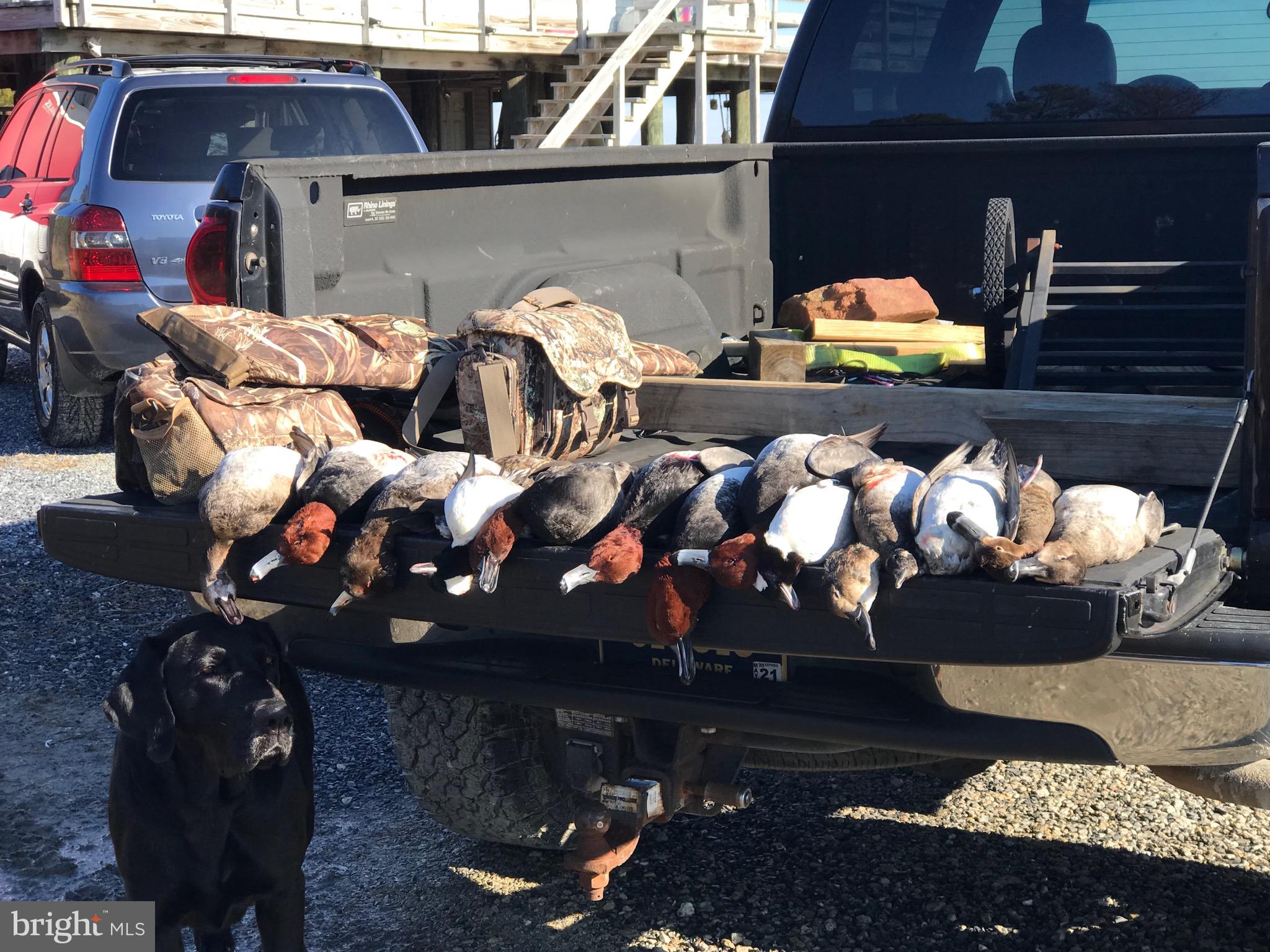 2765 Hoopers Island Road Fishing Creek, MD 21634 - Photo 98 of 111 Seller Provided Photos