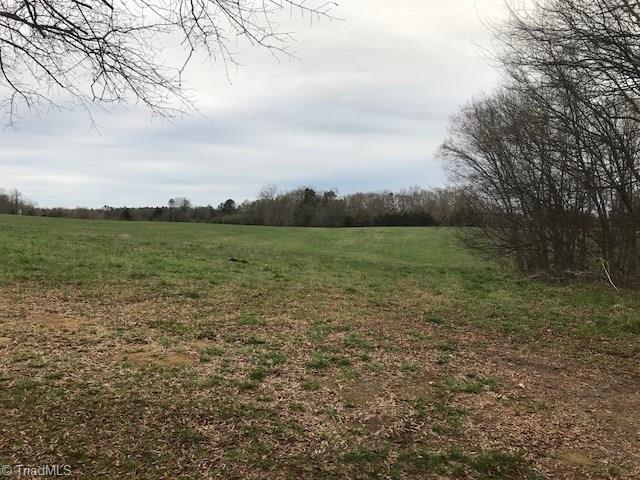 0 Carl Cox Road Bennett, NC 27208 - Photo 3 of 3