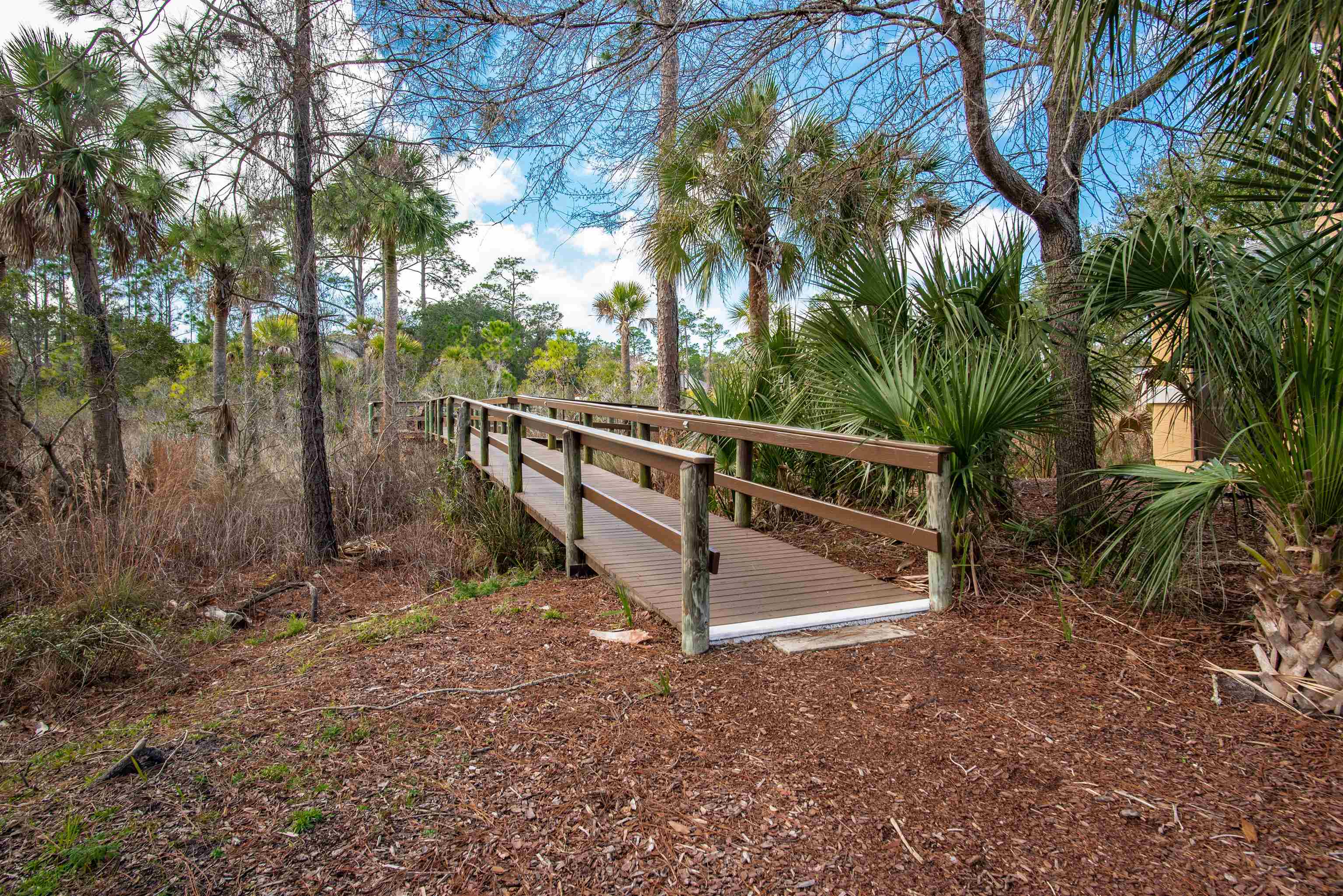 2202 Vista Cove Road St. Augustine, FL 32084 - Photo 30 of 38 a view of outdoor space